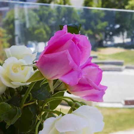 Apartment Le Monde Seaview *